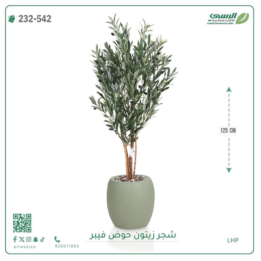 شجر زيتون حوض فايبر 125 سم