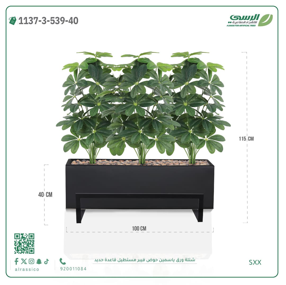 Jasmine plant in a rectangular fiberglass planter