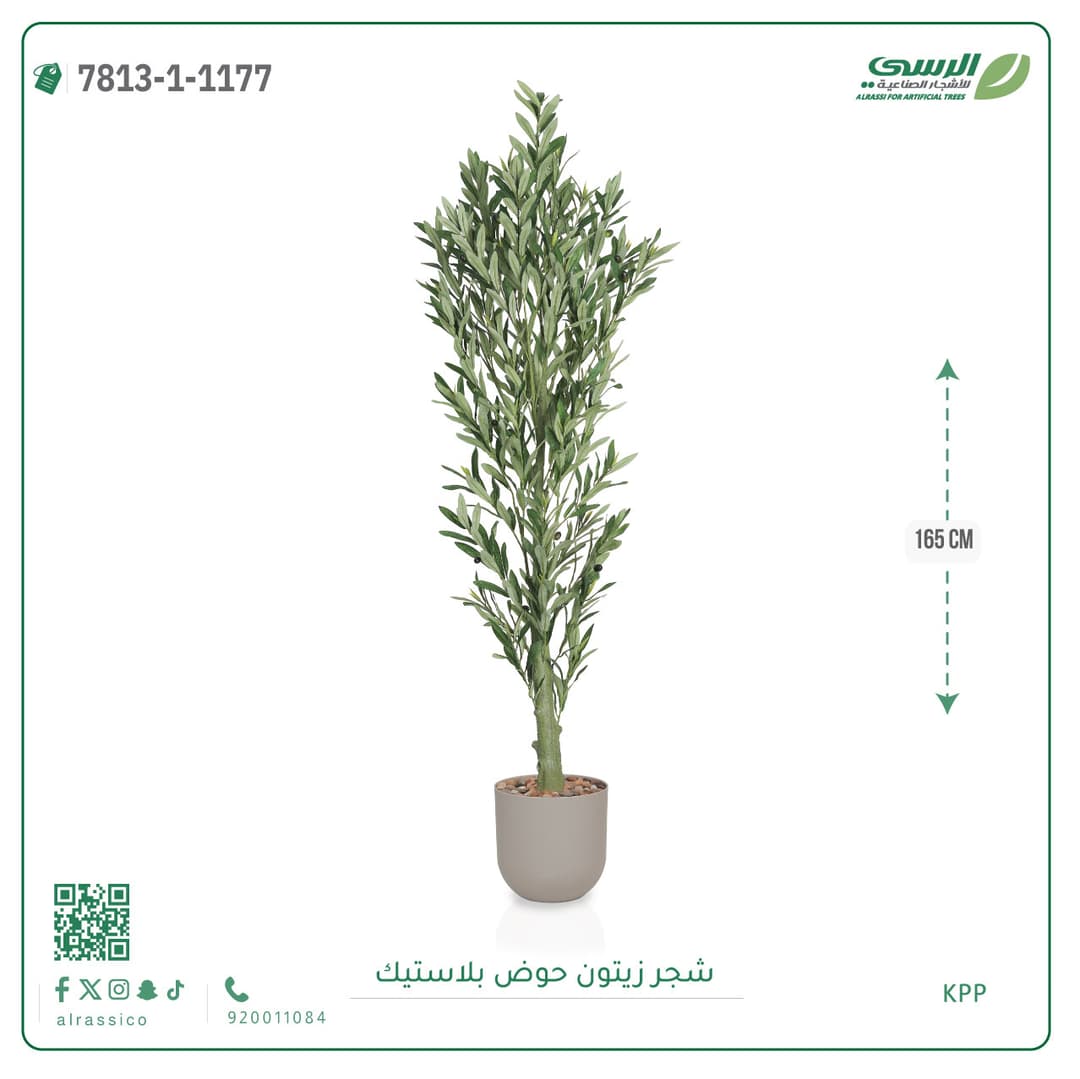 Olive Tree Plastic Pot