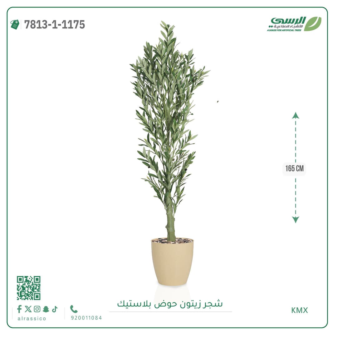 Olive Tree Plastic Pot