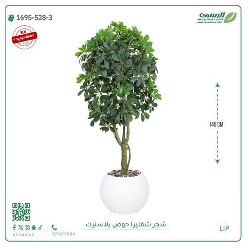 زينه