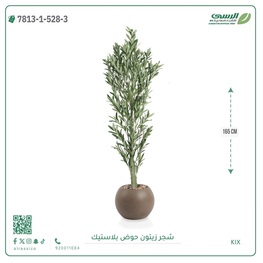 Olive Tree Plastic Pot