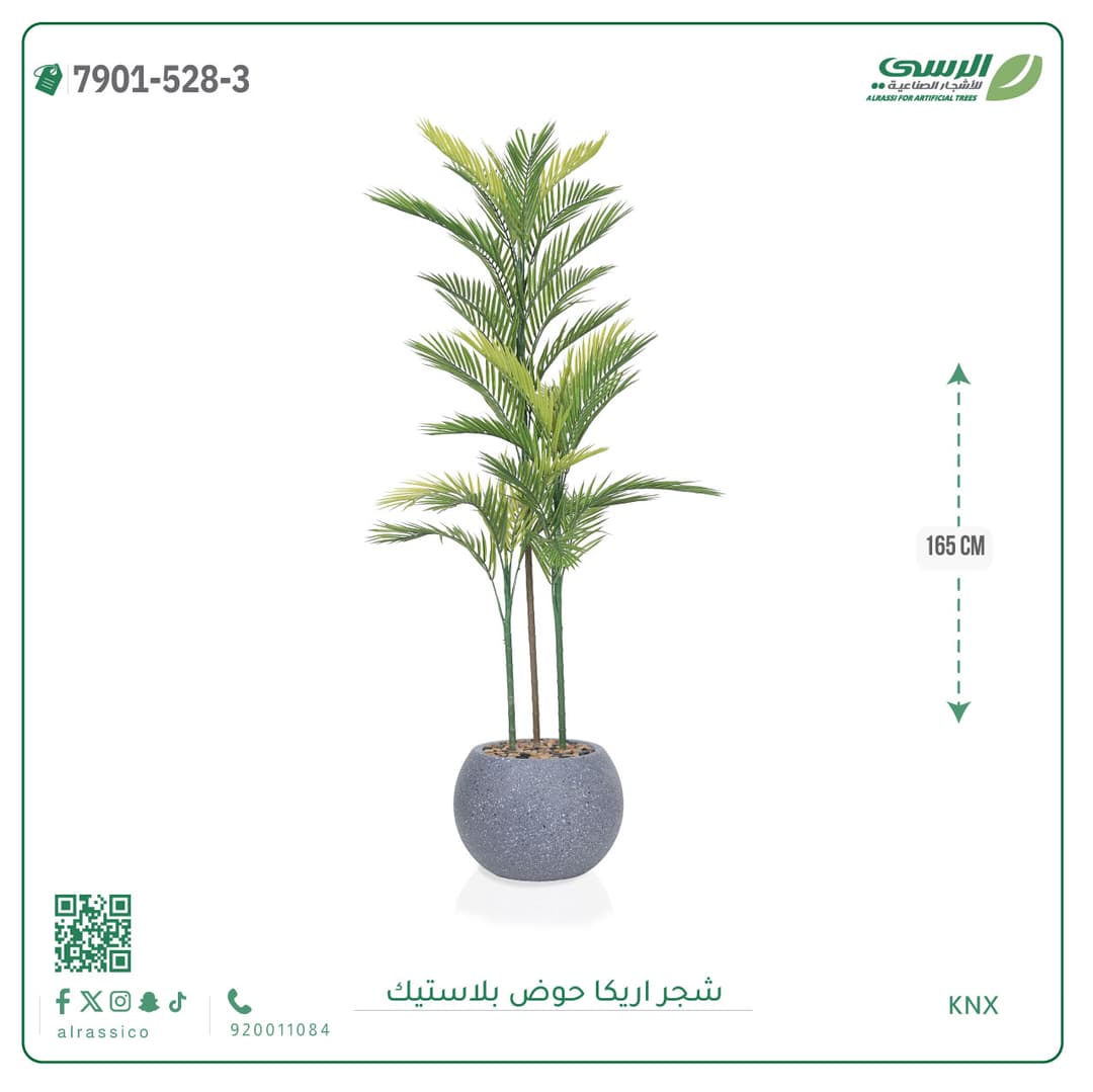 Areca Plant Plastic Pot