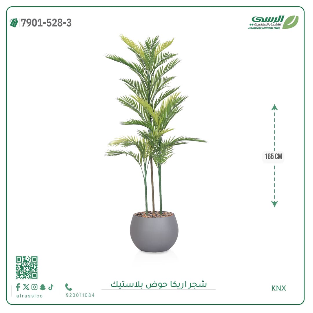 Areca Plant Plastic Pot