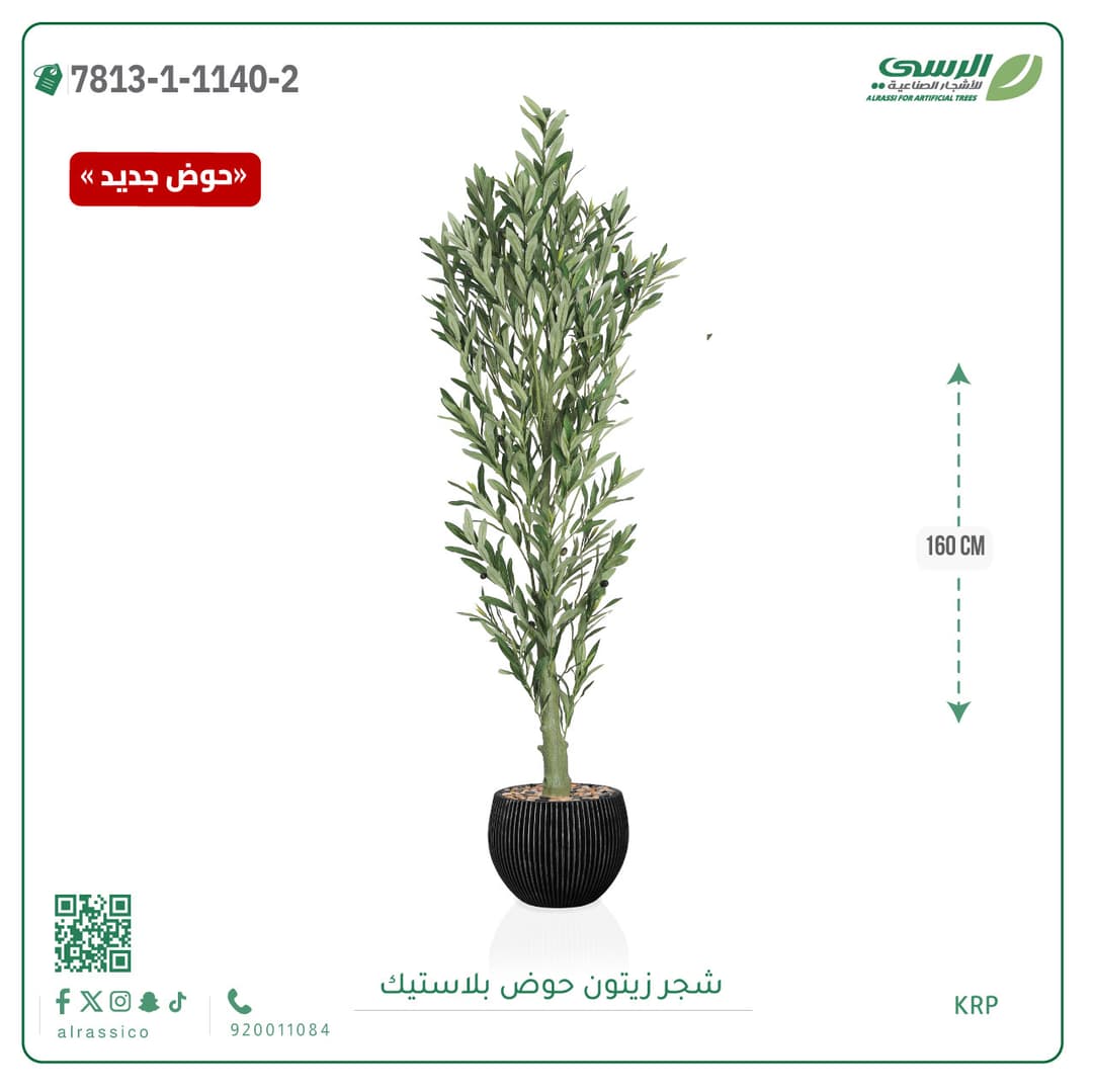Olive Tree Plastic Pot