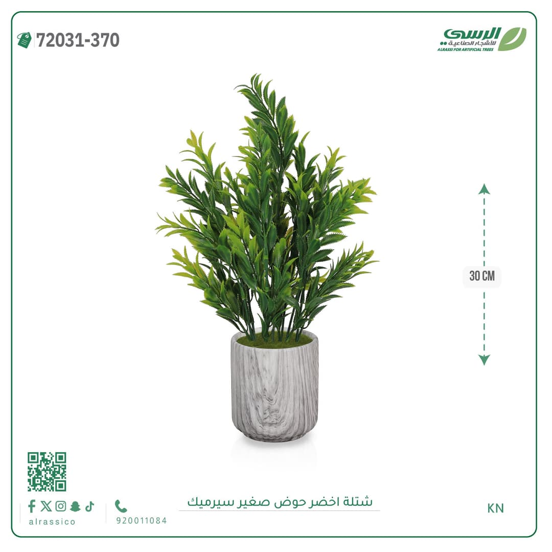 Green Plant Small Ceramic Pot