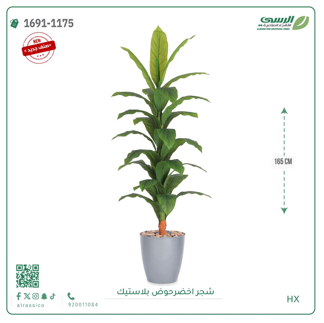شجر موزمقاس 155 سم 