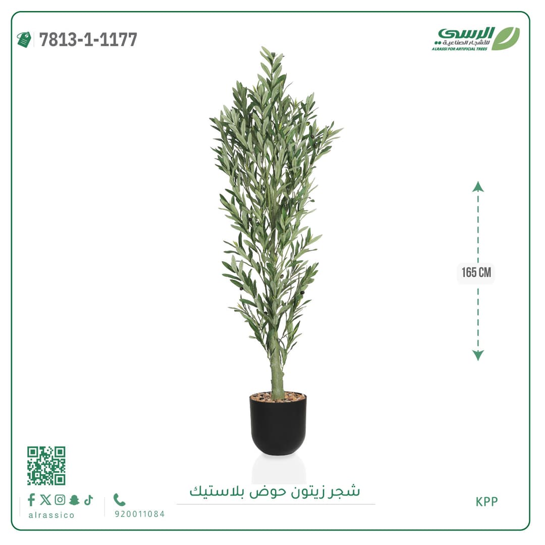 Olive Tree Plastic Pot