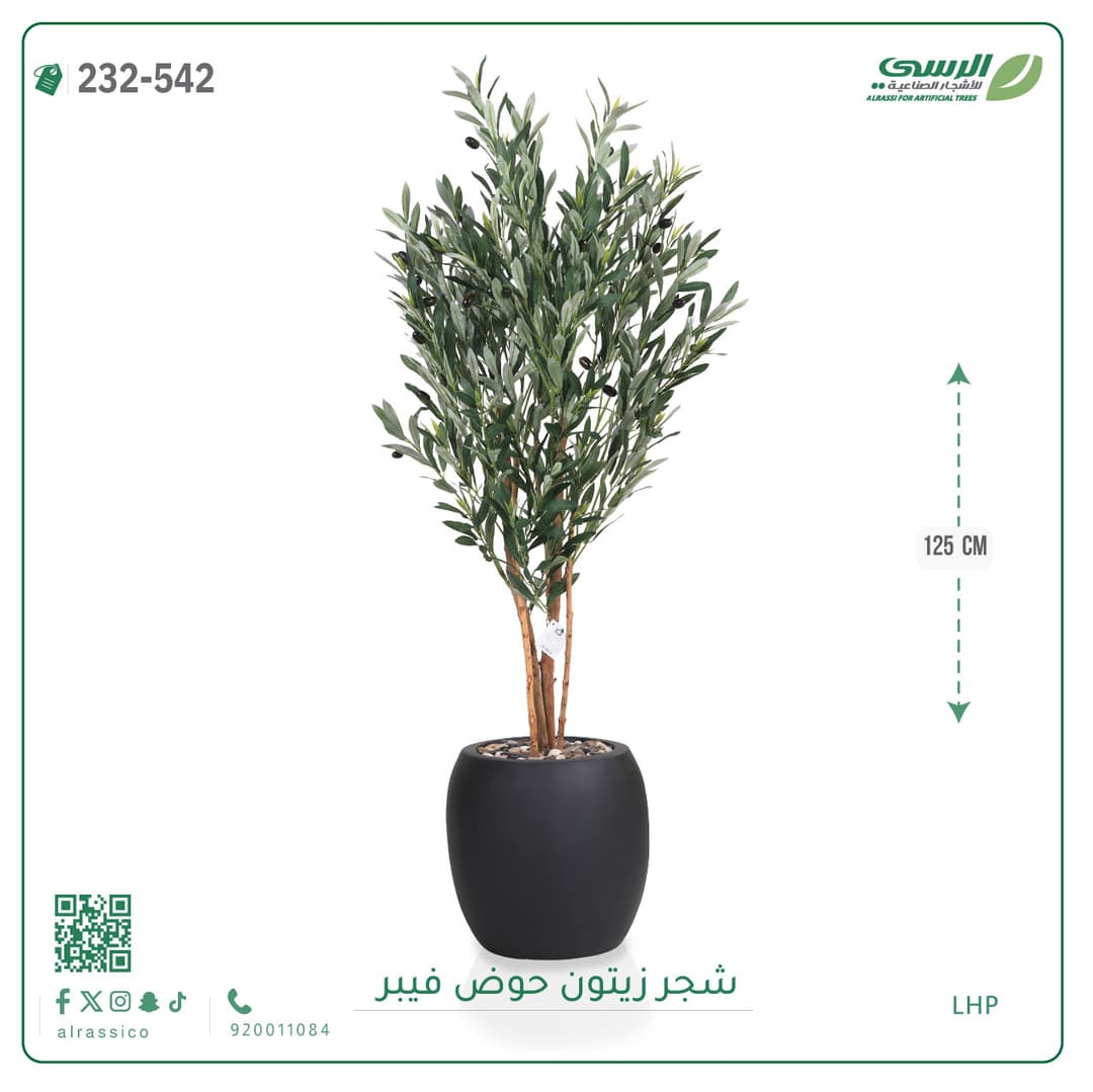 شجر زيتون حوض فايبر 125 سم