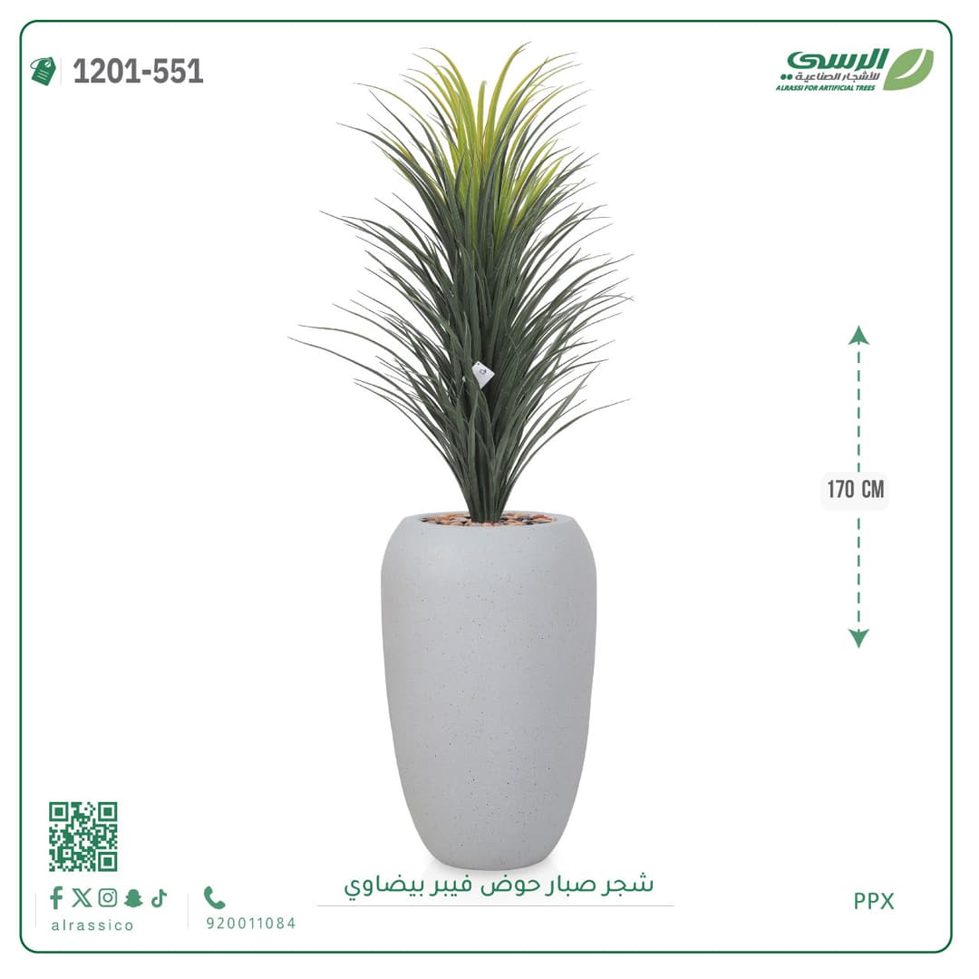 شجر صبار حوض فيبر