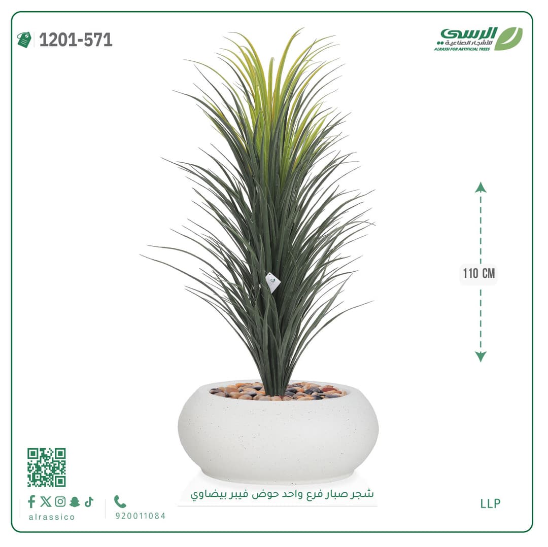 شجر صبار فرع واحد حوض فيبر بيضاوي