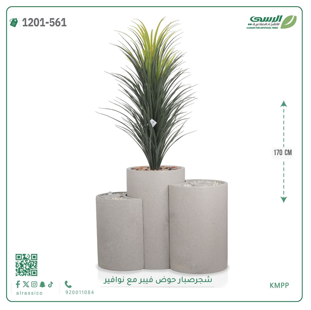 شجر صبار حوض فيبر مع نوافير