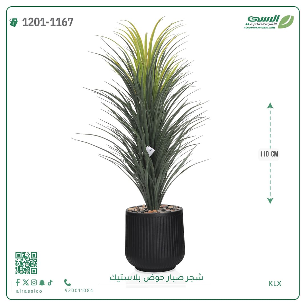 شجر صبار حوض بلاستيك مخطط