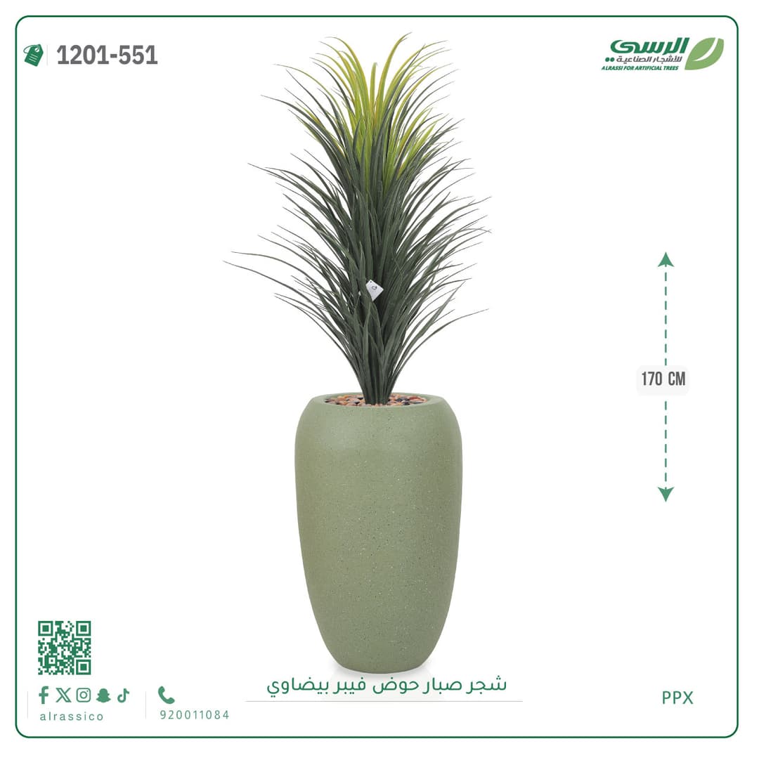 شجر صبار حوض فيبر