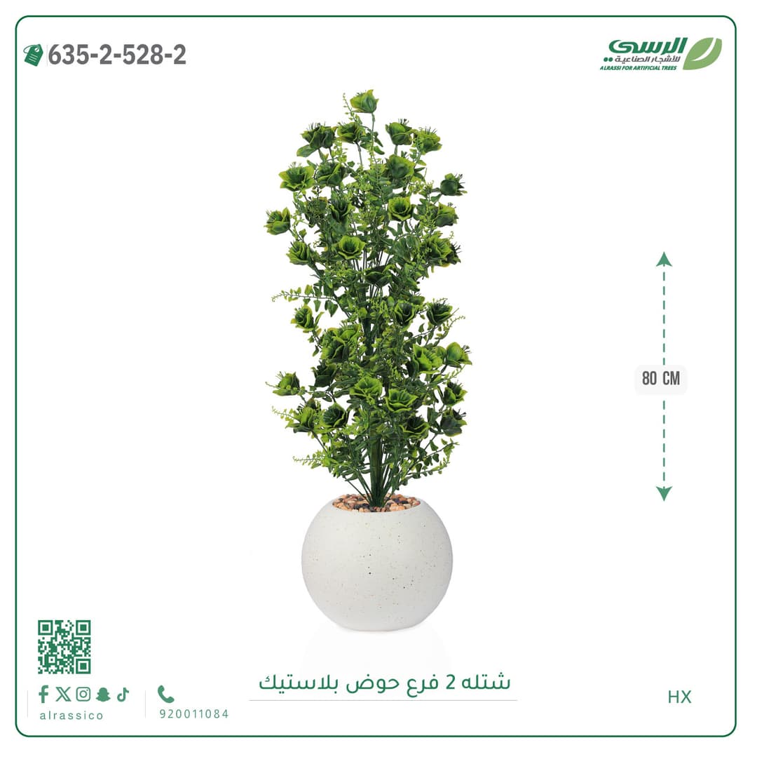 شتلة 2 فرع حوض بلاستيك