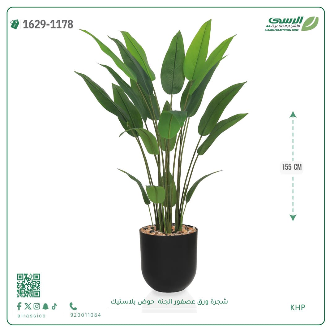 شجرة ورق عصفور الجنة حوض بلاستيك