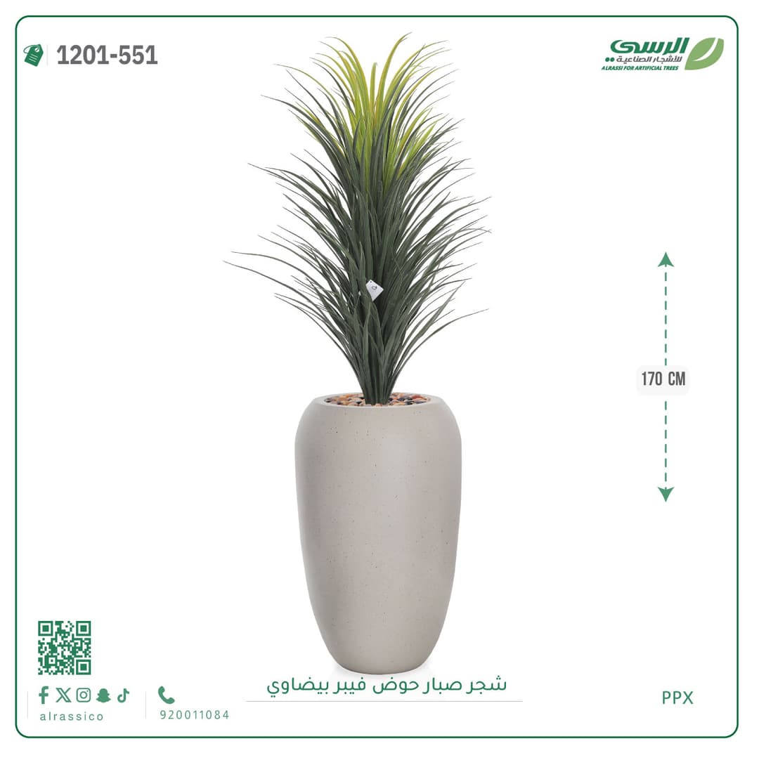 شجر صبار حوض فيبر