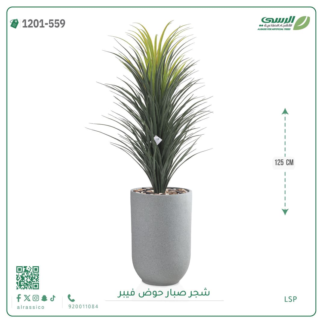 شجر صبار حوض فيبر