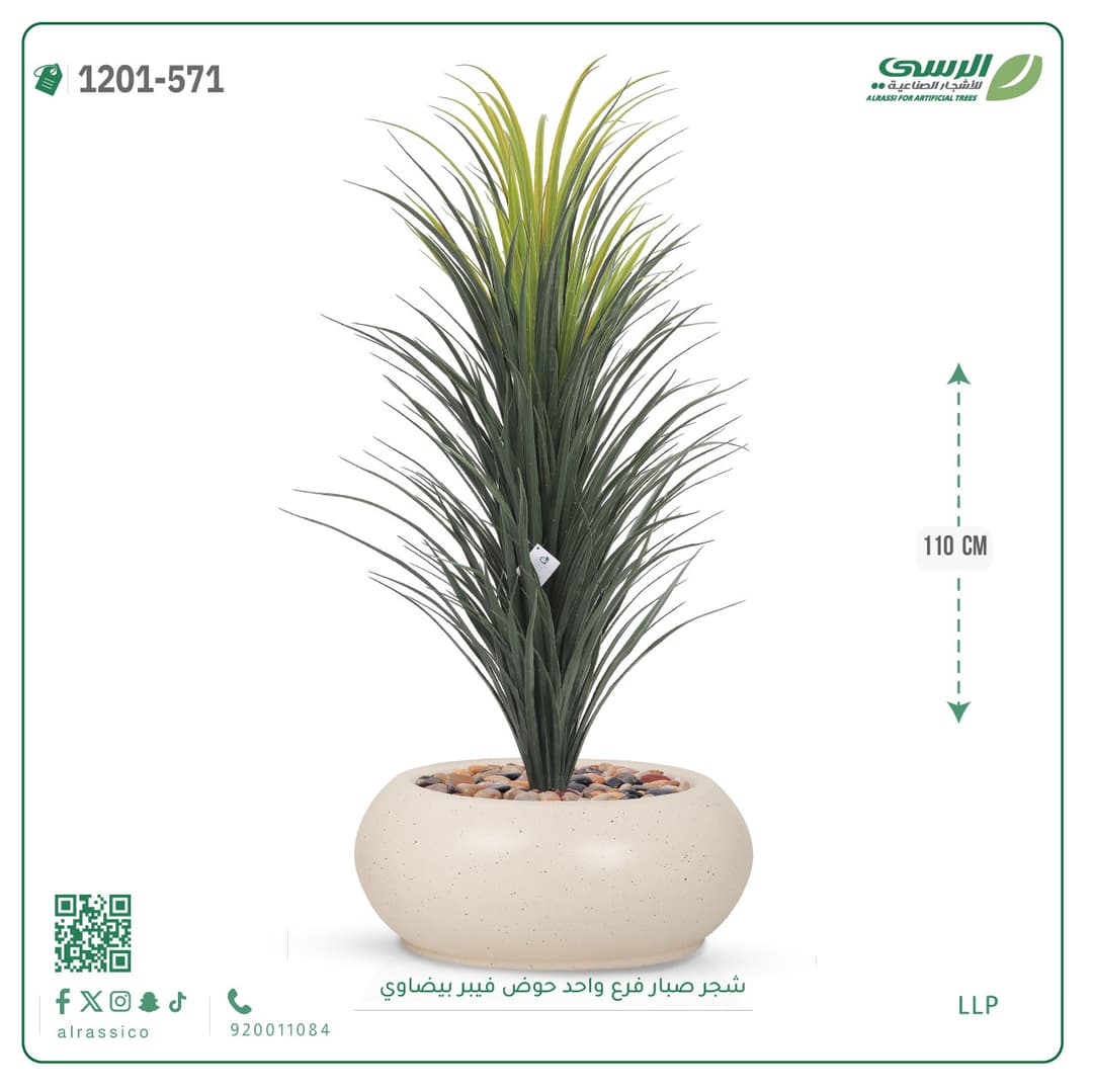 شجر صبار فرع واحد حوض فيبر بيضاوي