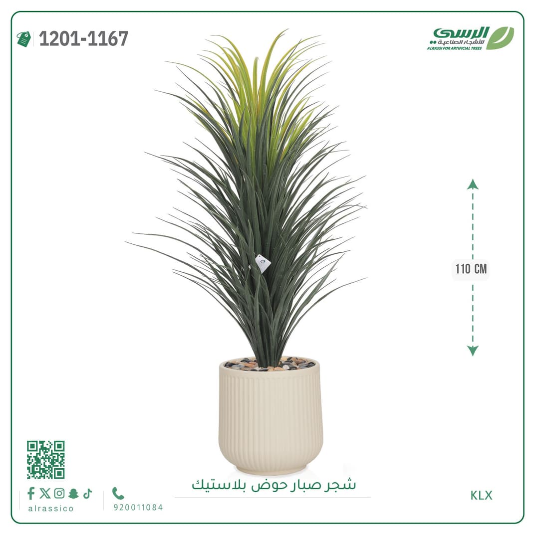 شجر صبار حوض بلاستيك مخطط