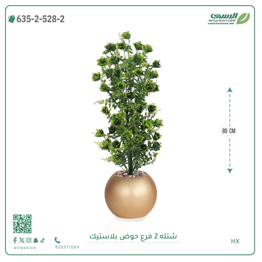 شتلة 2 فرع حوض بلاستيك