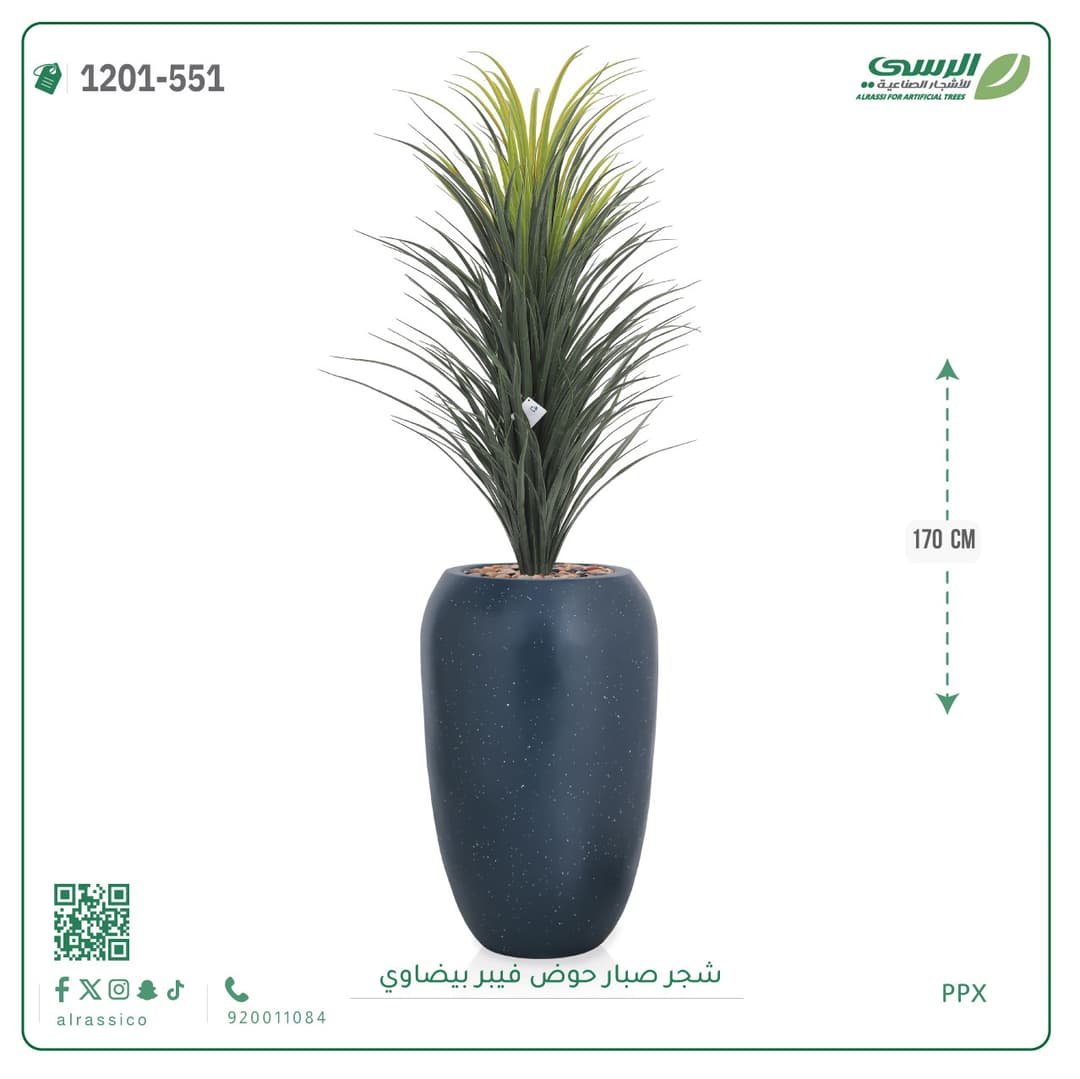 شجر صبار حوض فيبر