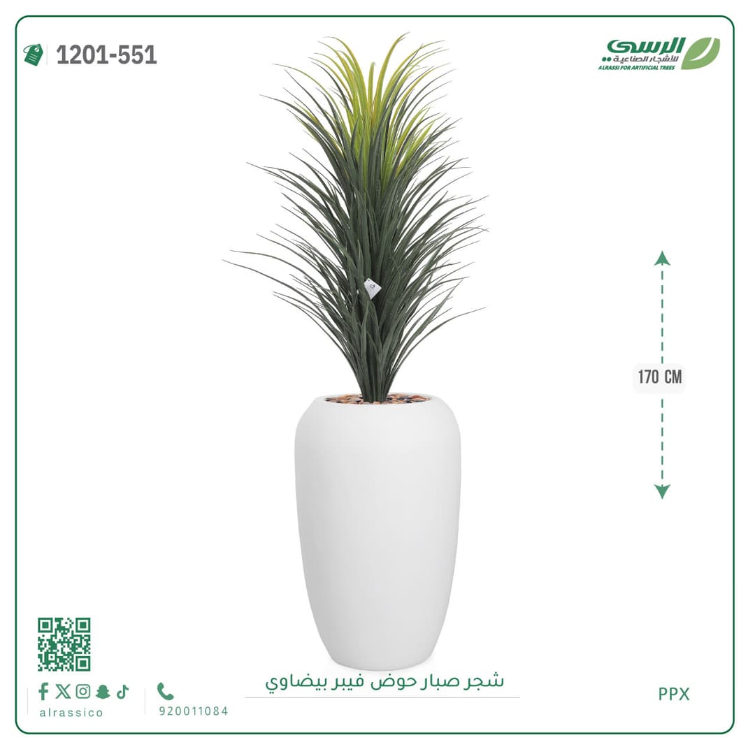 شجر صبار حوض فيبر