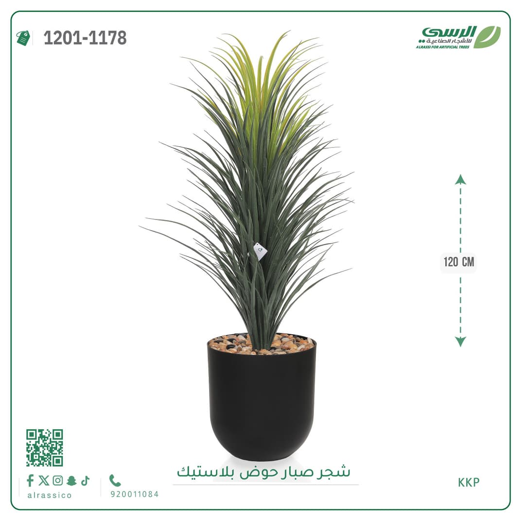 شجر صبار حوض بلاستيك دائري