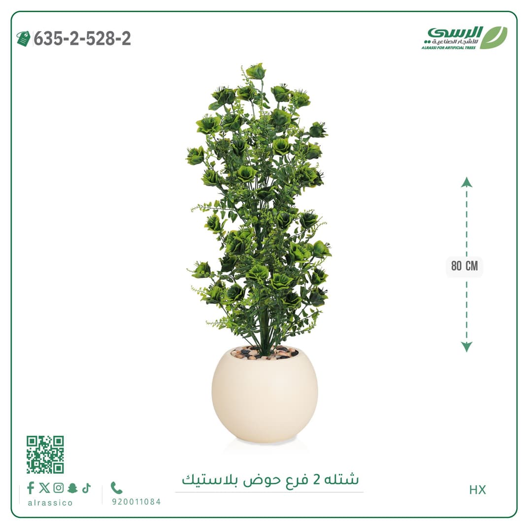 شتلة 2 فرع حوض بلاستيك