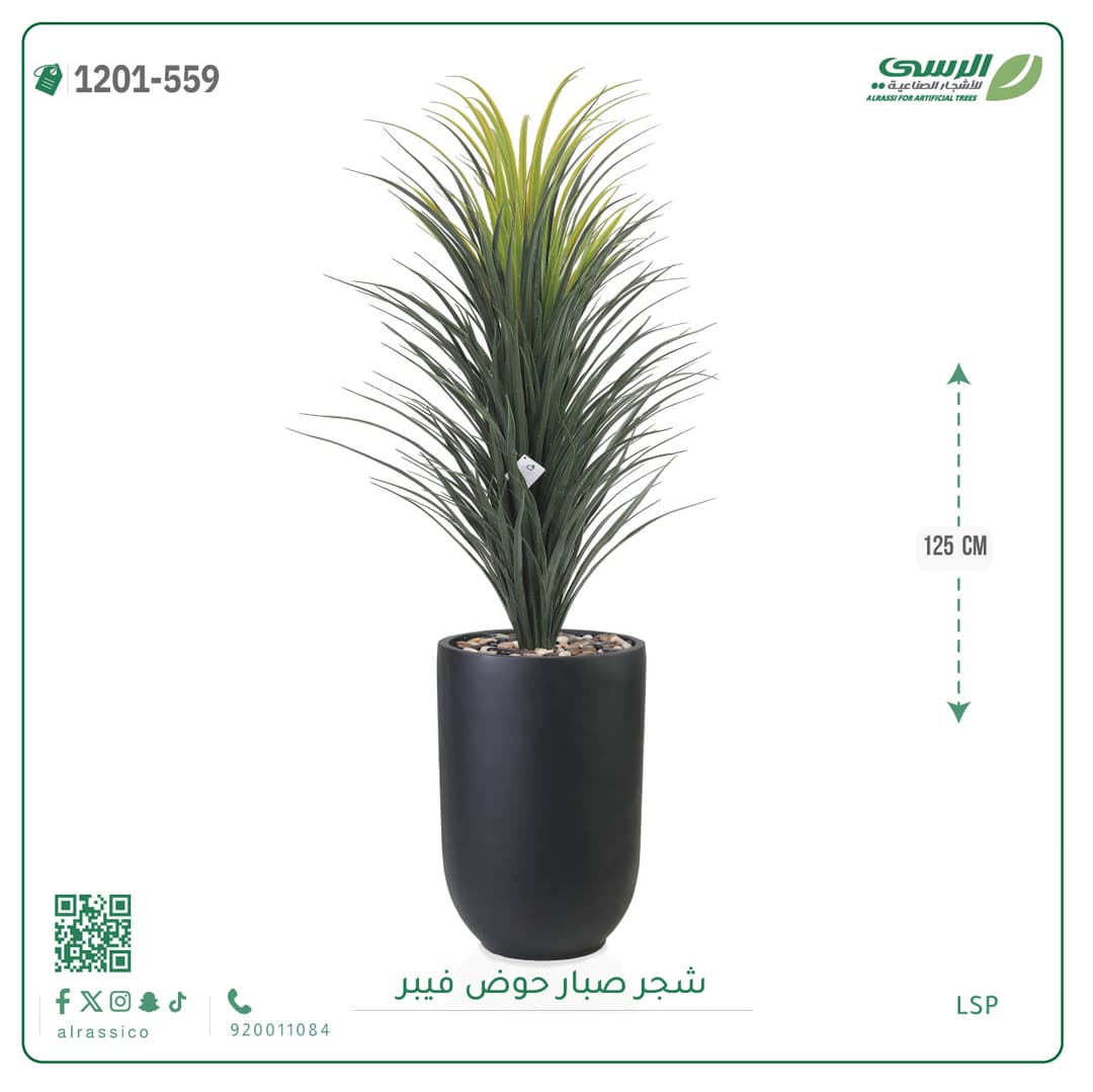 شجر صبار حوض فيبر