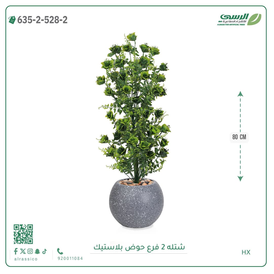 شتلة 2 فرع حوض بلاستيك