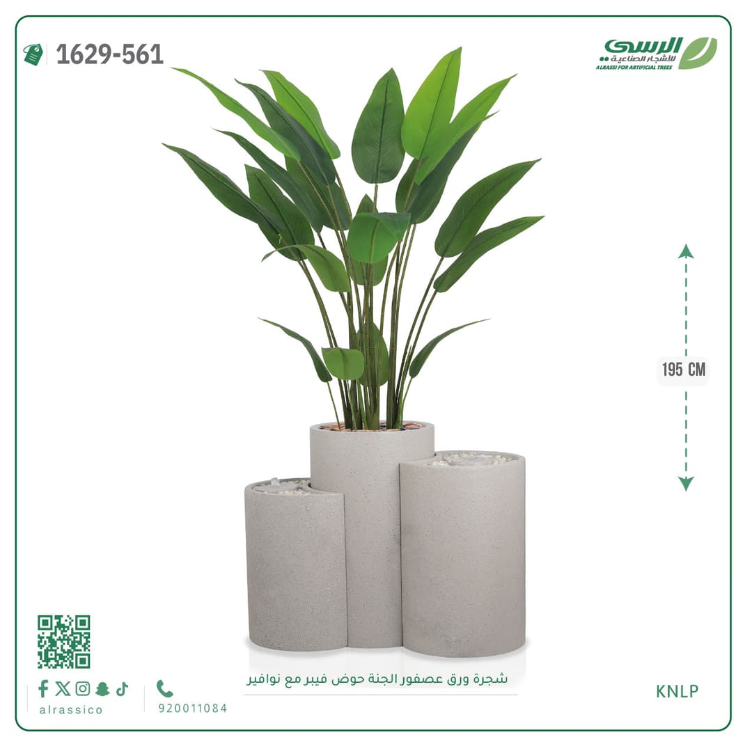 شجرة ورق عصفور الجنة حوض فيبر مع نوافير