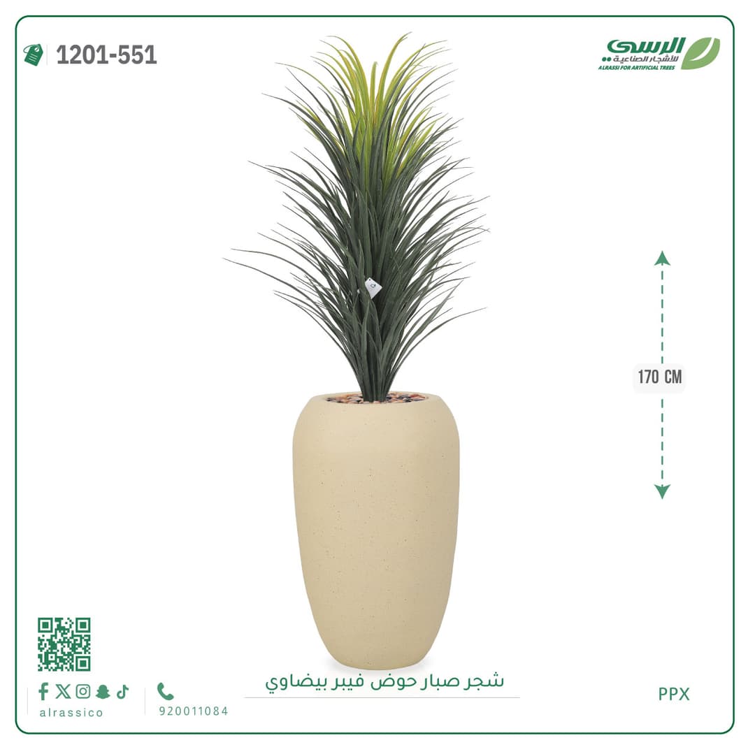 شجر صبار حوض فيبر