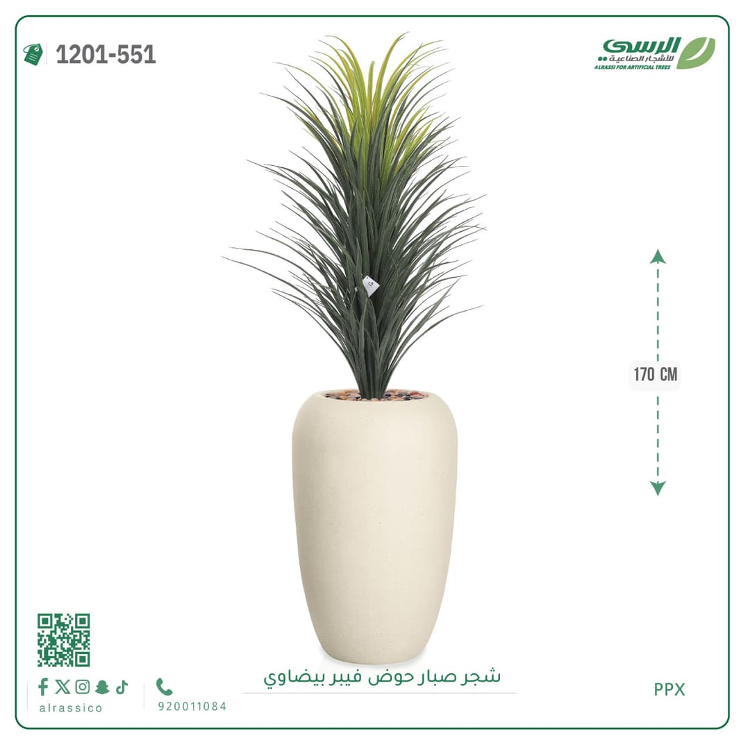 شجر صبار حوض فيبر