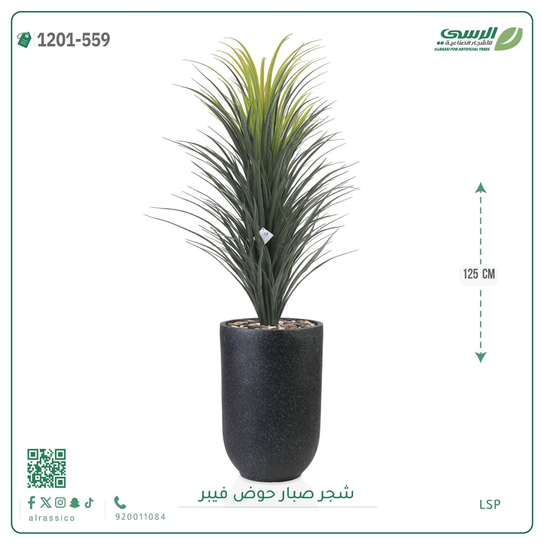 شجر صبار حوض فيبر