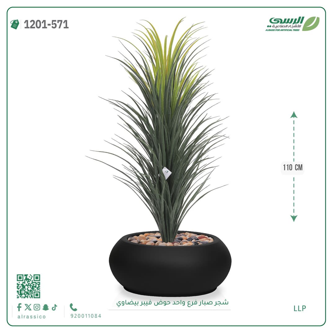 شجر صبار فرع واحد حوض فيبر بيضاوي