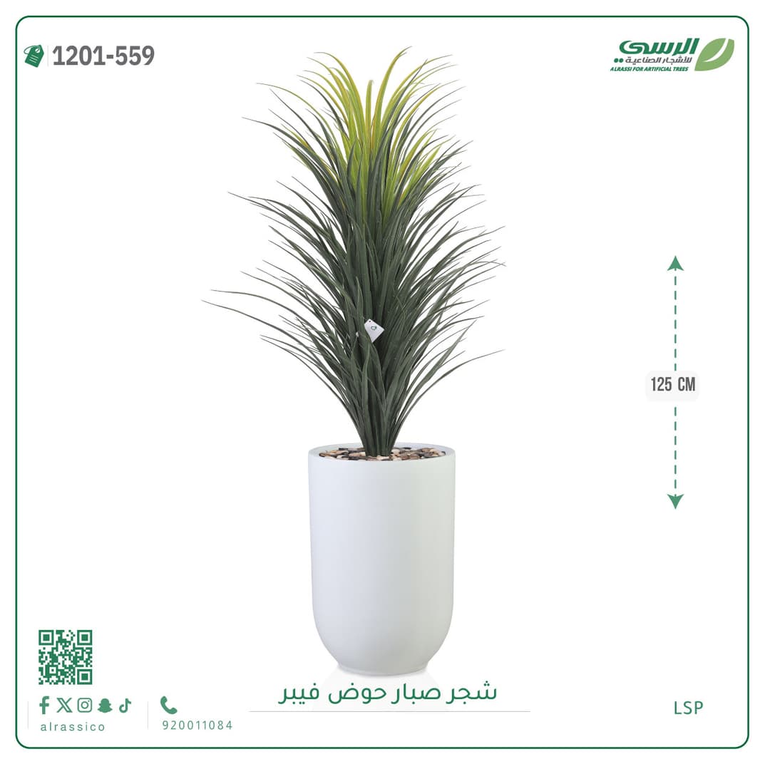 شجر صبار حوض فيبر