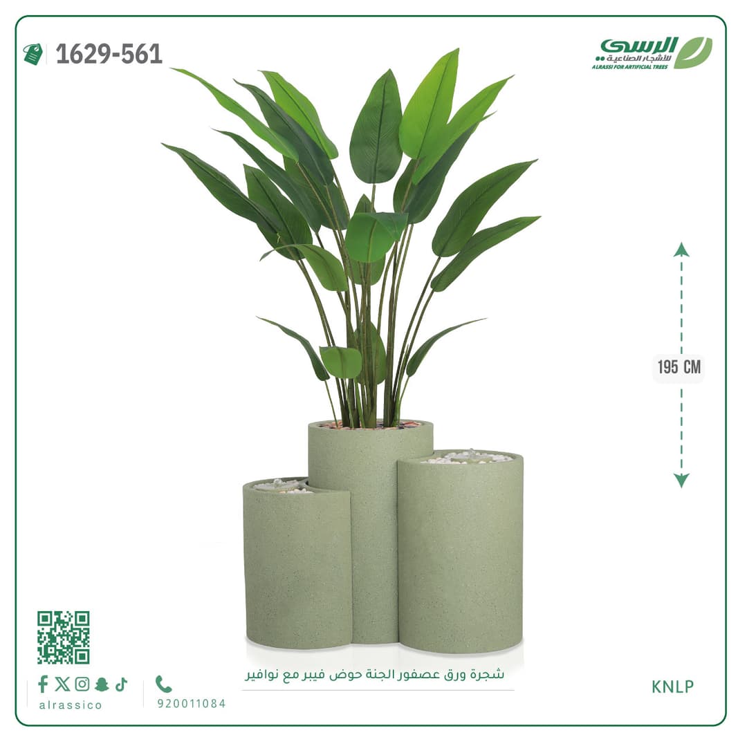 شجرة ورق عصفور الجنة حوض فيبر مع نوافير