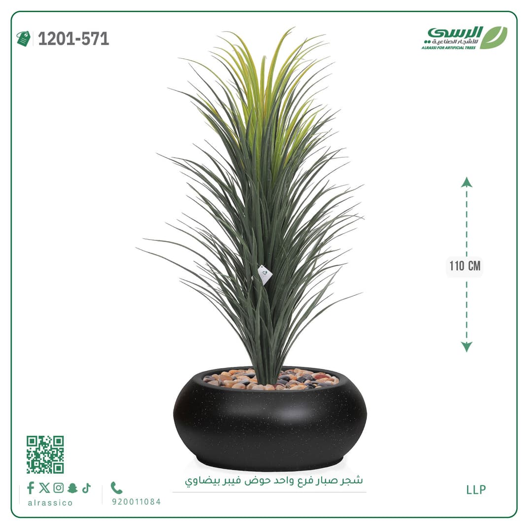 شجر صبار فرع واحد حوض فيبر بيضاوي