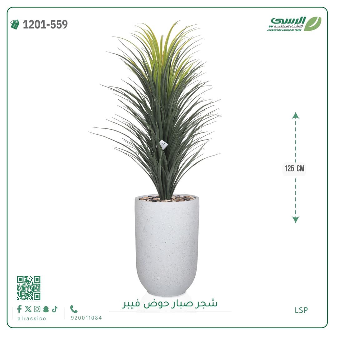 شجر صبار حوض فيبر