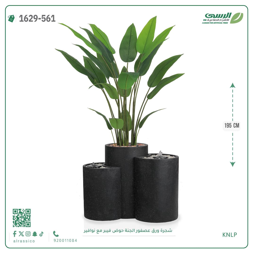 شجرة ورق عصفور الجنة حوض فيبر مع نوافير