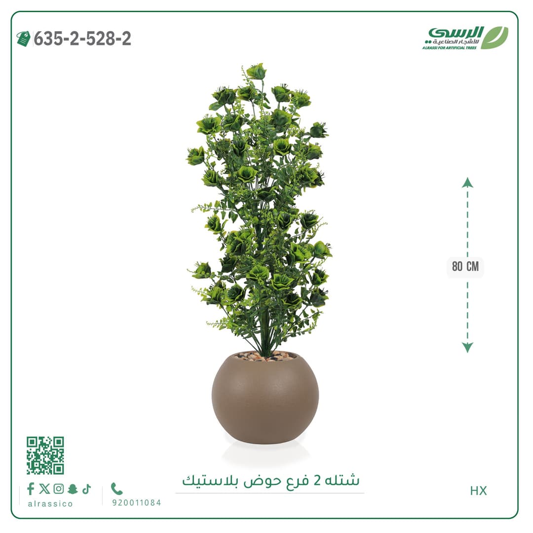 شتلة 2 فرع حوض بلاستيك