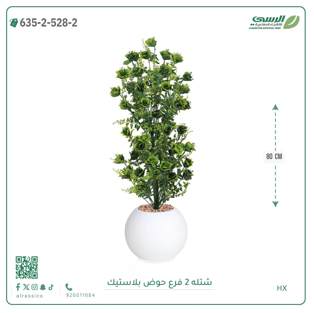 شتلة 2 فرع حوض بلاستيك