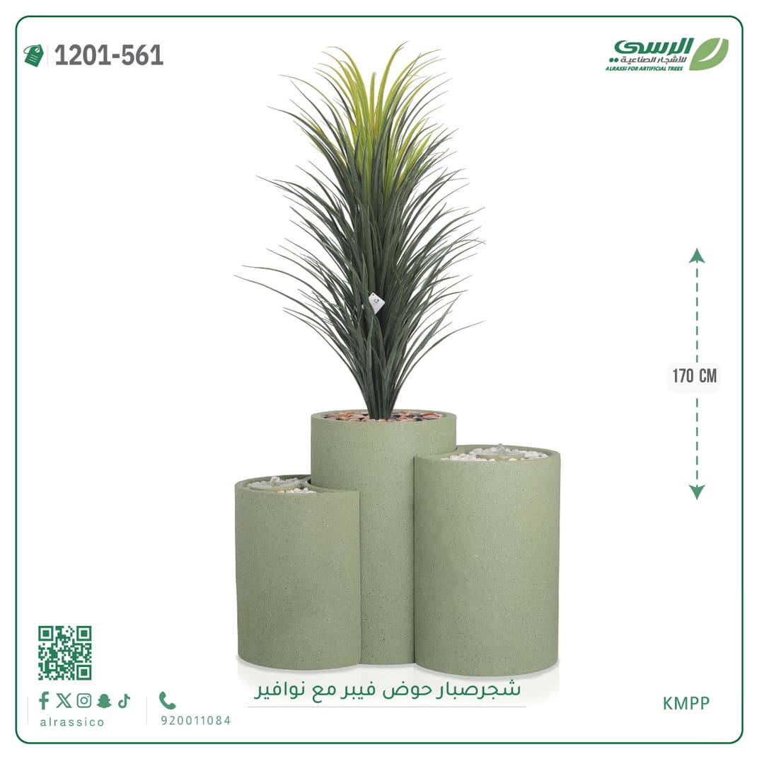 شجر صبار حوض فيبر مع نوافير