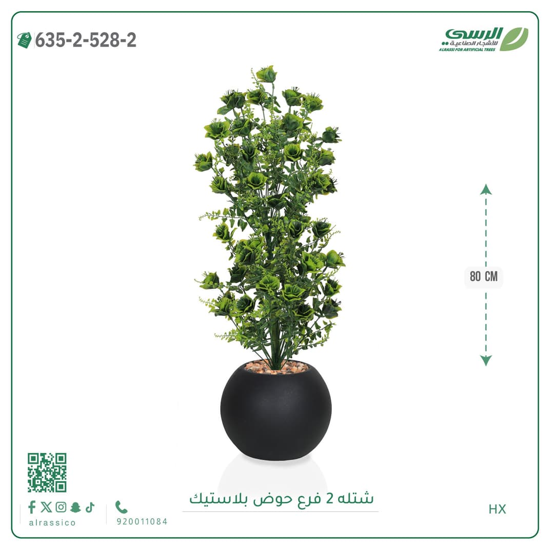 شتلة 2 فرع حوض بلاستيك