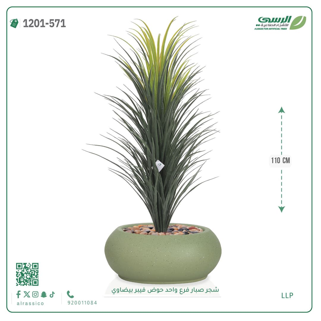 شجر صبار فرع واحد حوض فيبر بيضاوي