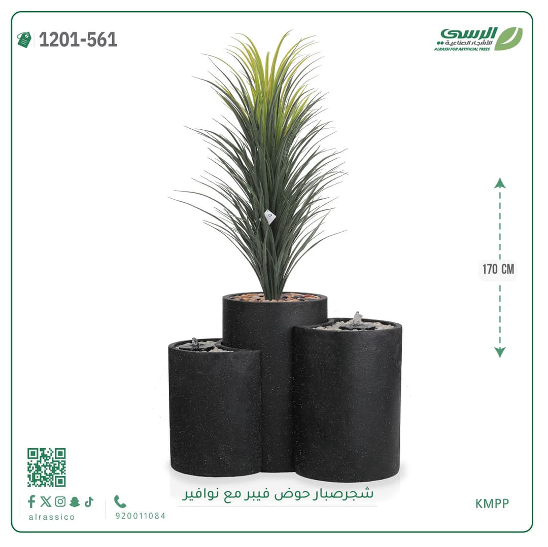 شجر صبار حوض فيبر مع نوافير