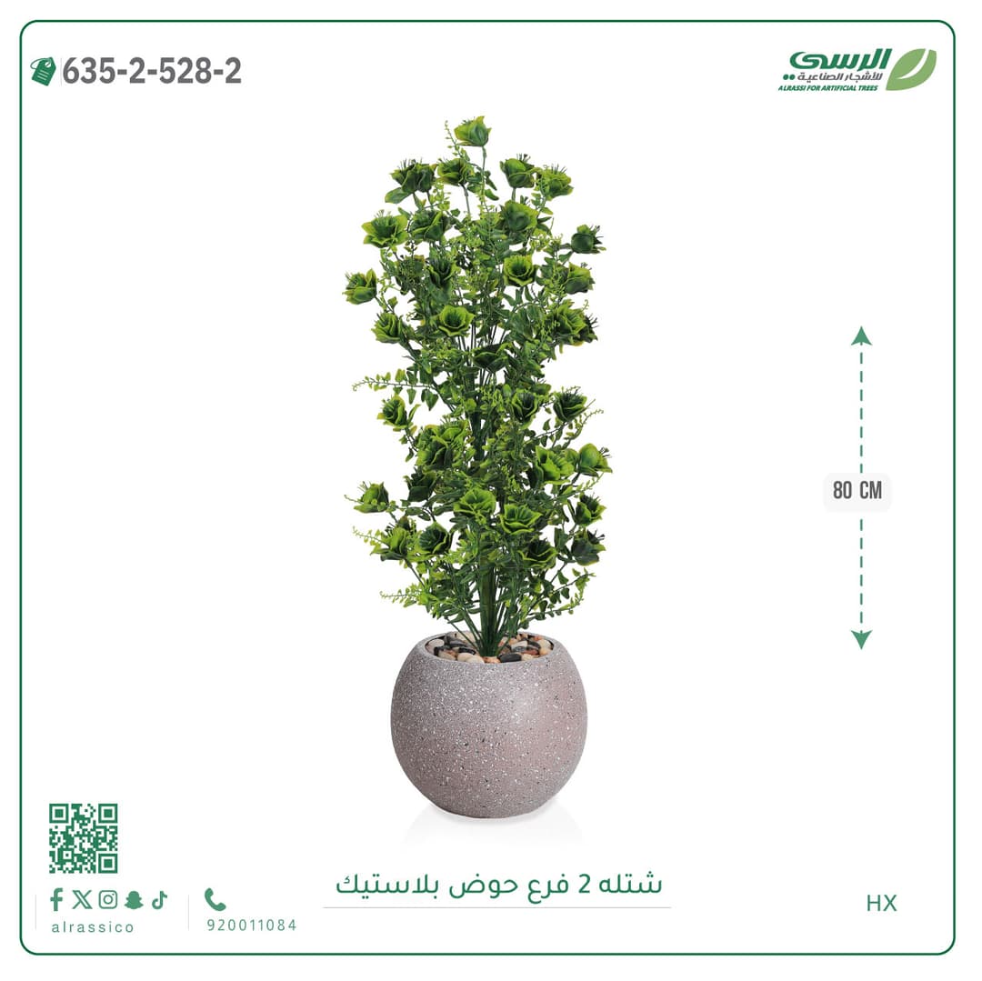 شتلة 2 فرع حوض بلاستيك