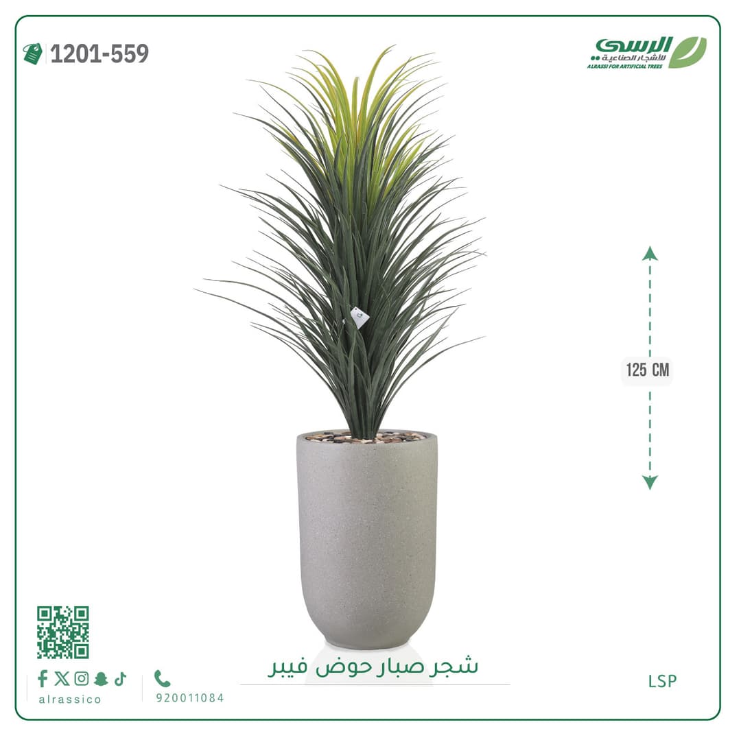 شجر صبار حوض فيبر