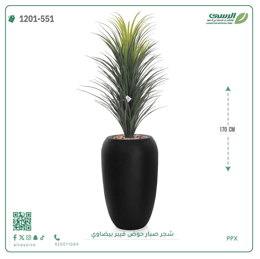 شجر صبار حوض فيبر